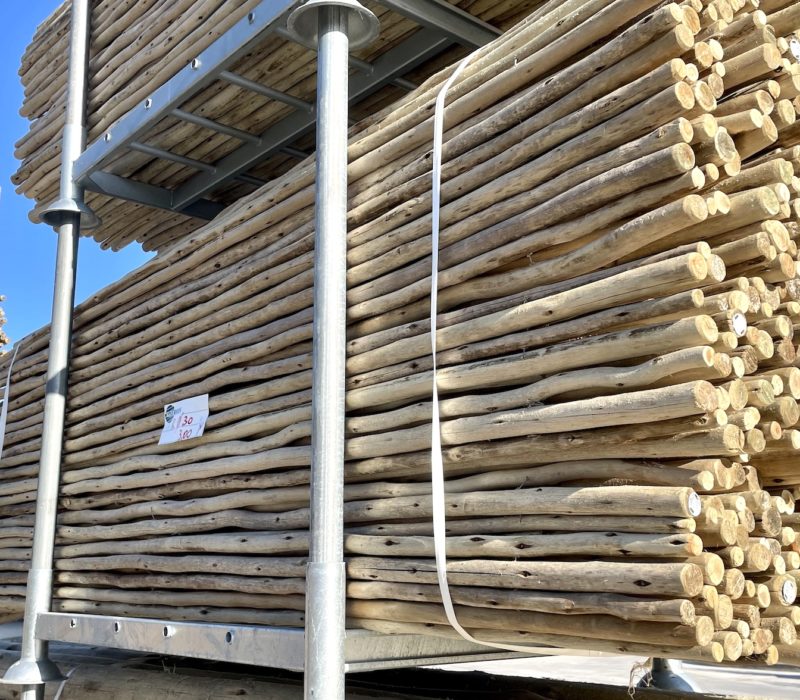 rouleaux eucalyptus 3m